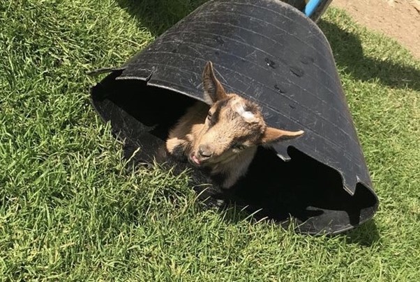 Half-term fun in Bromley